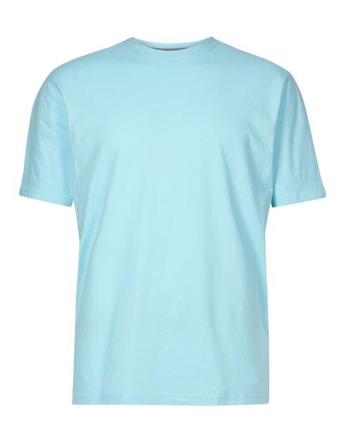 Mavi Pamuklu Sıfır Yaka T-Shirt
