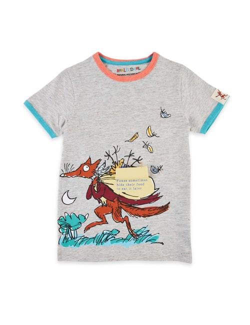 Gri Roald Dahl™ & NHM™ Desenli T-Shirt