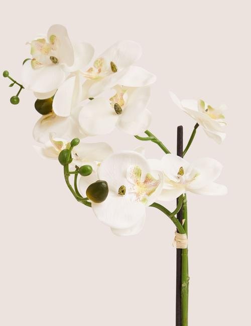 Beyaz Orta Boy Dekoratif Orkide