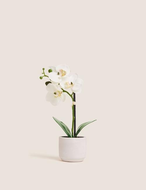 Beyaz Küçük Boy Dekoratif Orkide
