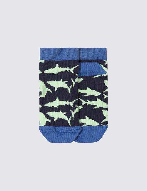 Multi Renk 5'li Köpekbalığı Desenli Çorap Seti