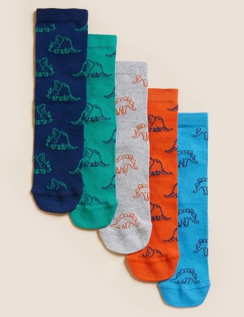 Multi Renk 5'li Dinozor Desenli Çorap